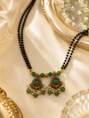 Modra Victorian MS